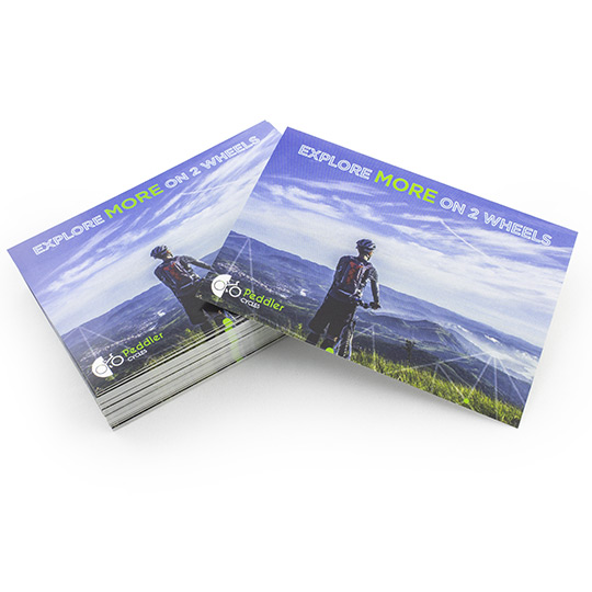 Indoor Individually Trimmed Stickers