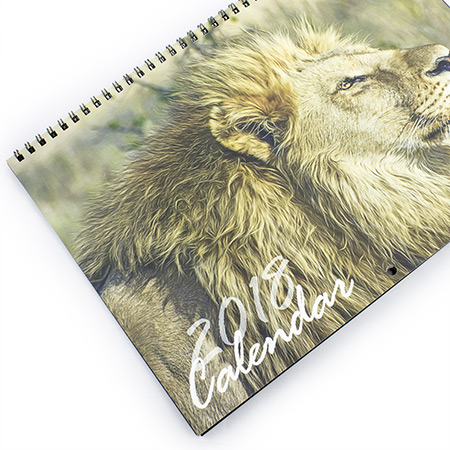 A4 Wire Bound Calendar