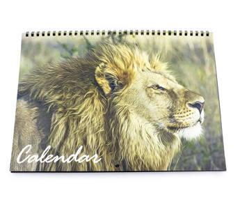 Wire Bound Calendars