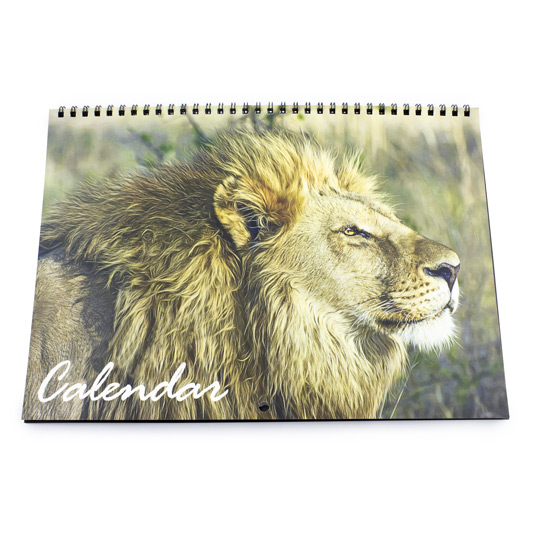 Wirebound Calendar with hole