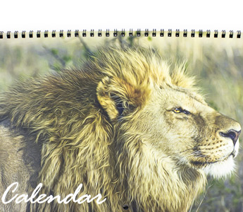 Wire Bound Calendars inc Optional Hole for Hanging